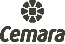Cemara