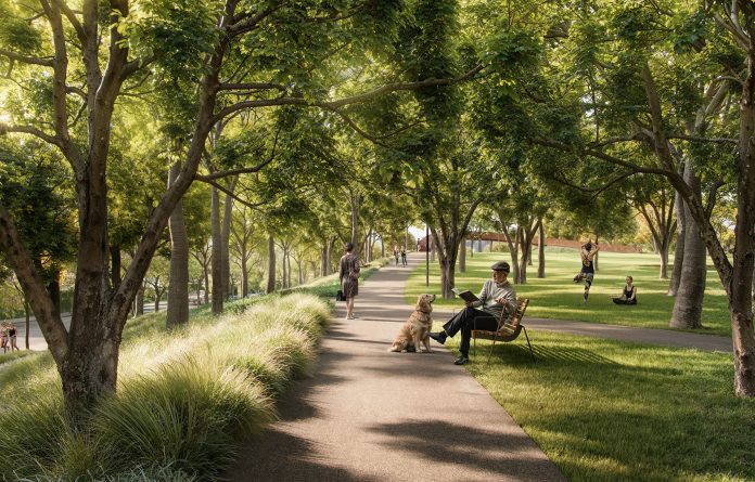 Bravo_Visuals_Idealiza_Parque_Una_Caminhada_Bosque